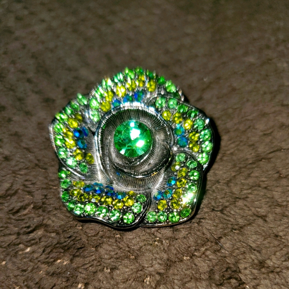 Beautiful Green and Blue Pin